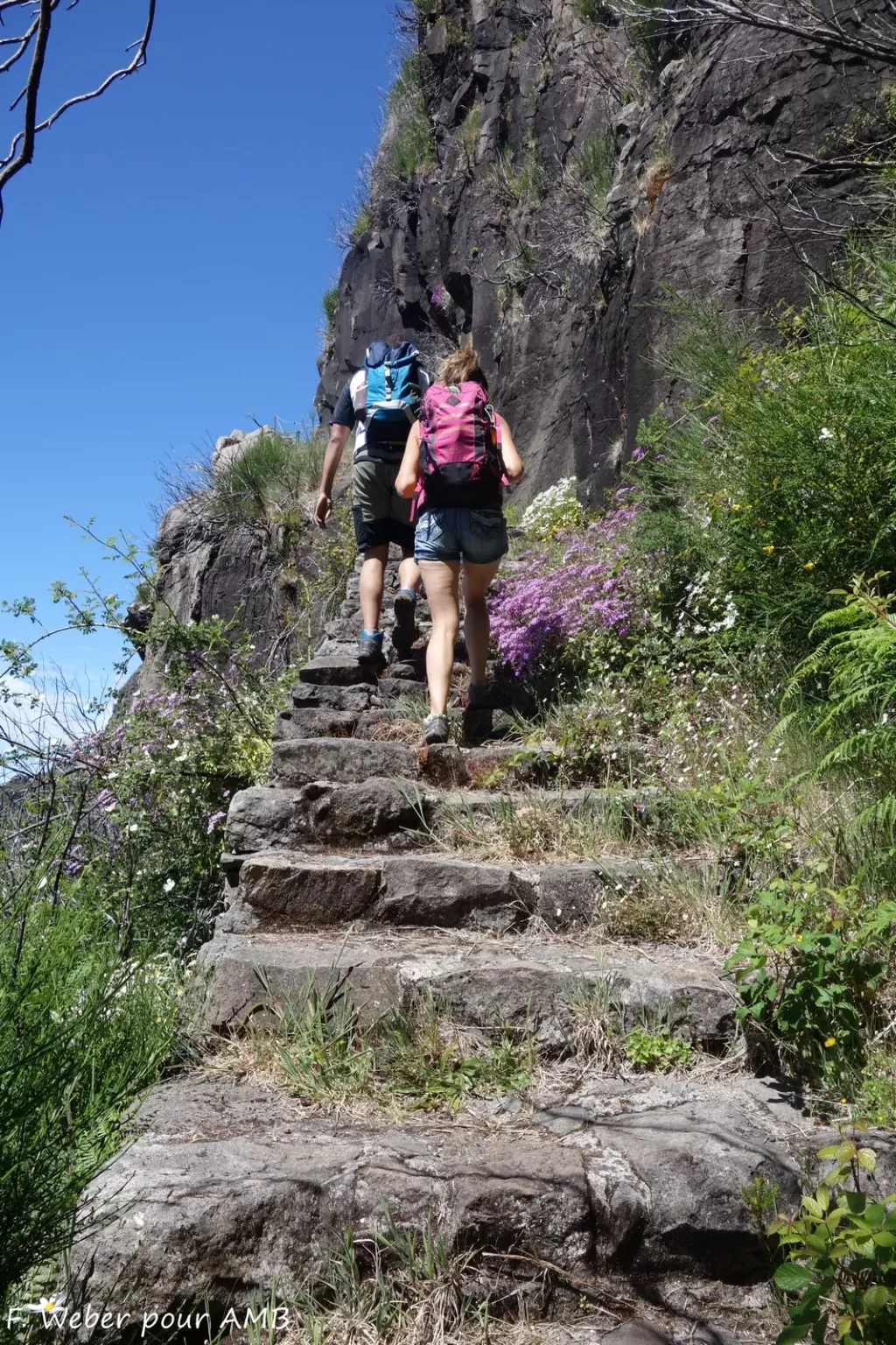 media-librarythm3hiich6kecUabnaA