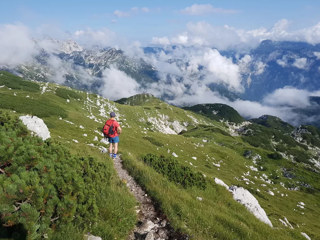 media-libraryusr87r6mbm9v23y6Dsy