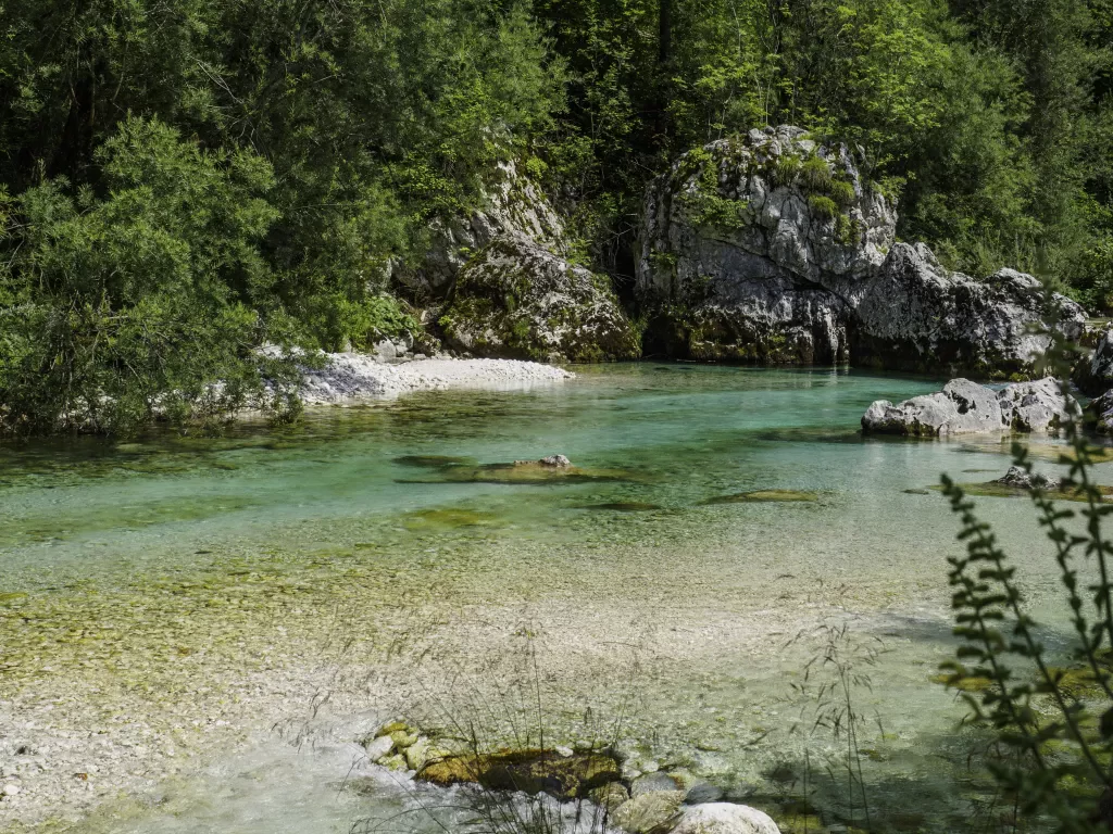 media-librarysrun0ka1oafs7iBvSuC