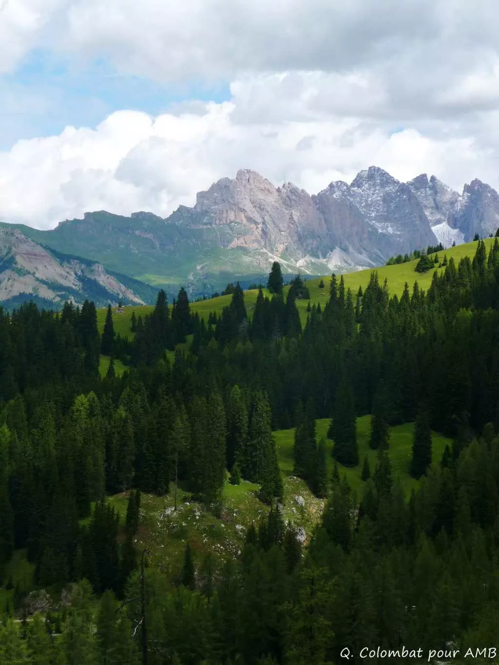 media-libraryalpfnaupm1pg1w7m6ny