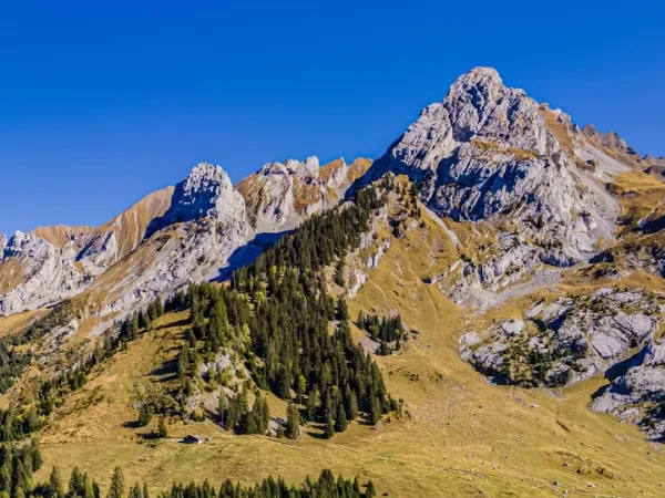 LES ARAVIS, TERRE DE MONTAGNES ET DE FROMAGES