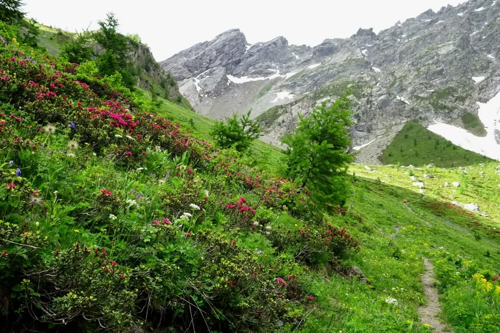 media-libraryvnv2nd8hace2f6aLK8z