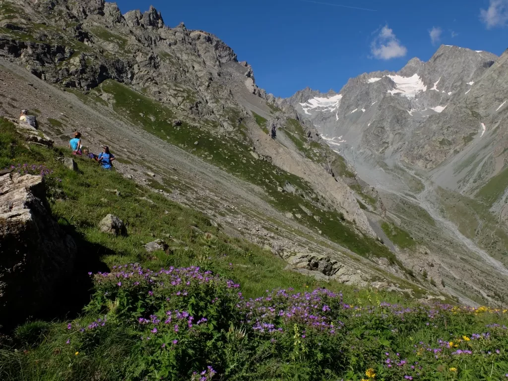 media-library6hm0uogjgce4dcA0MXC