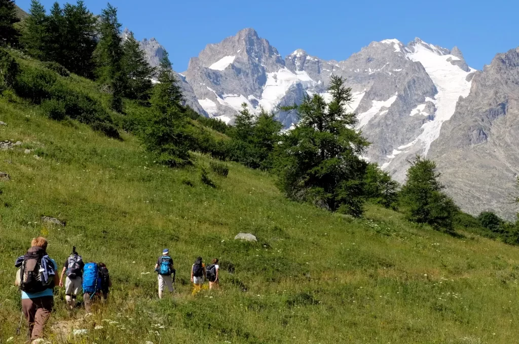 media-library0b6r2necldmv6XlvYZB