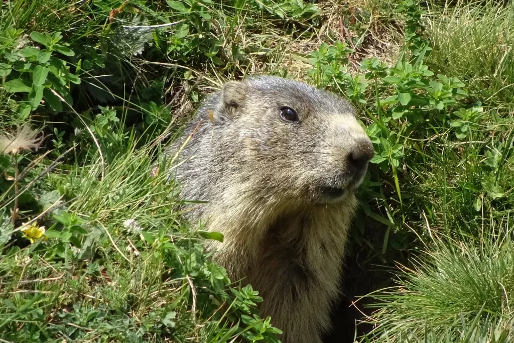 media-library2u831a2n6b2n6i3UH8A