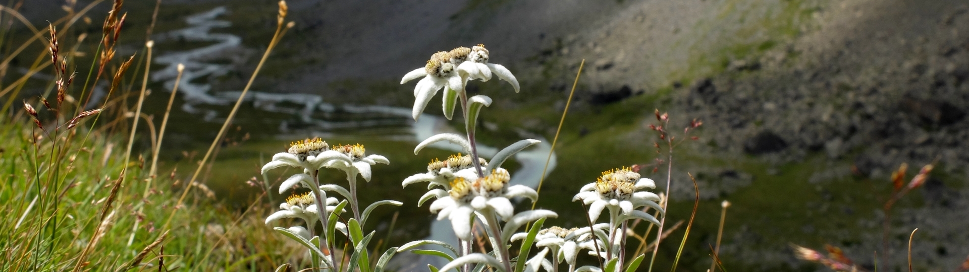 PANORAMA OF ÉCRINS self-guided