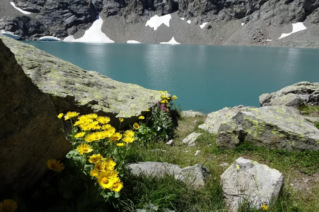 media-librarynlhb9tts1ov89xasBTz