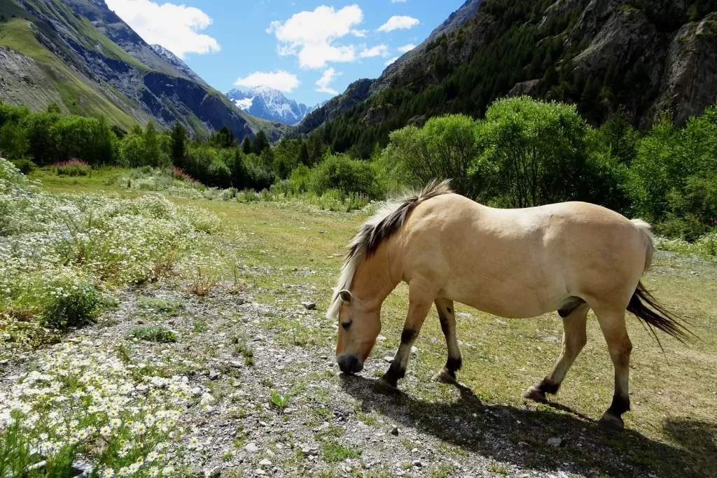 media-library2eeno3tt8jrm3jKSl1C