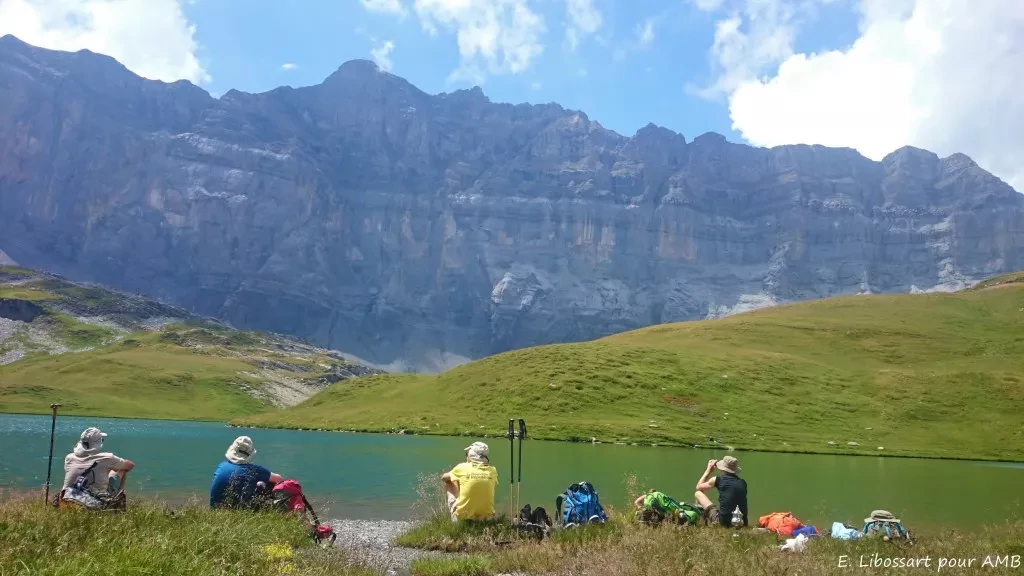 media-libraryt5umv3v16afbcnqW0OA