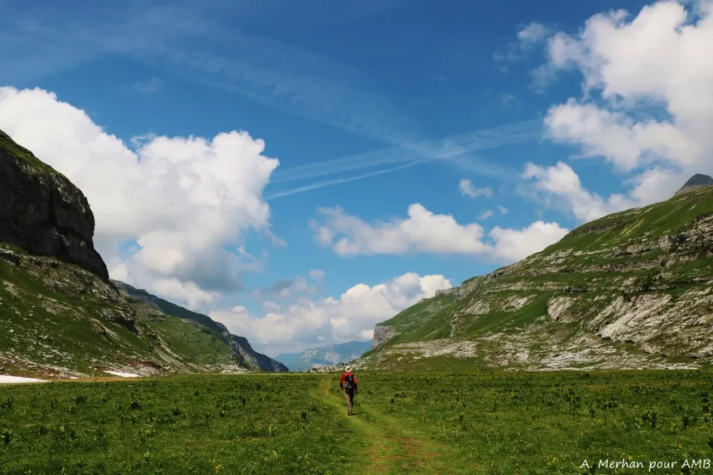 media-libraryo9gdrkhinm1v98piSQy