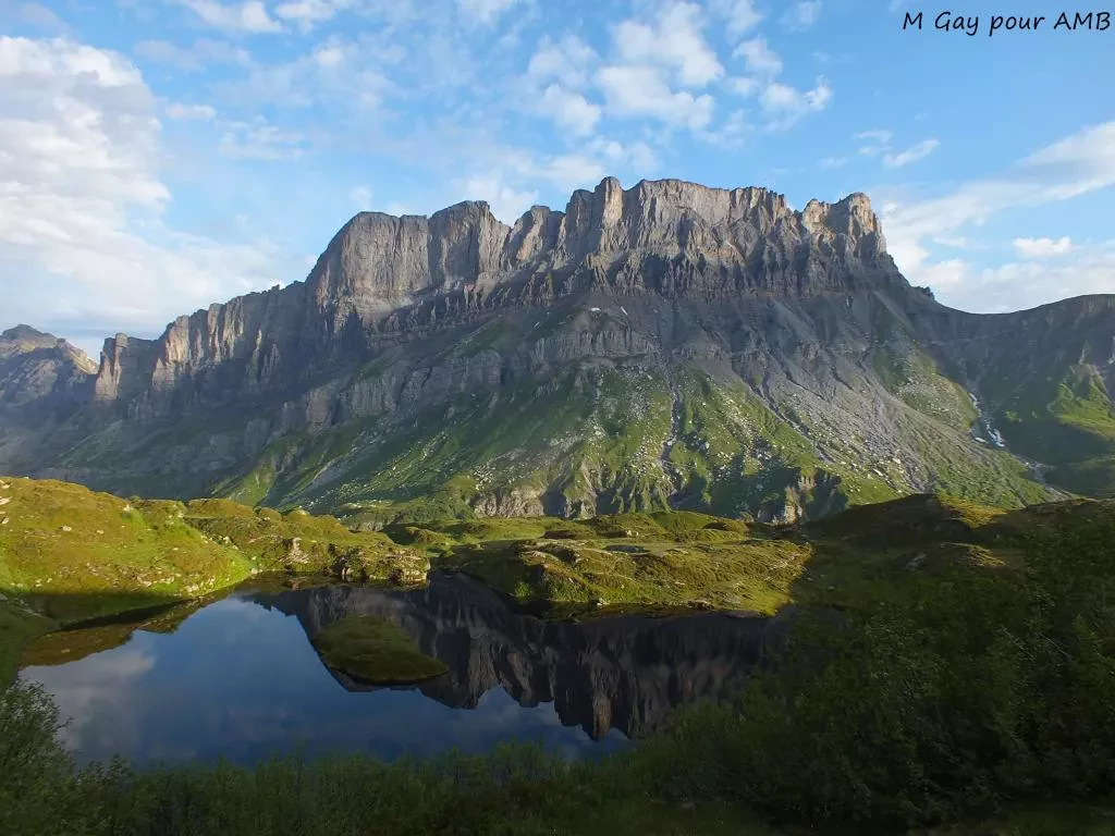 media-librarygungtbj8nk1kfXFvWNC