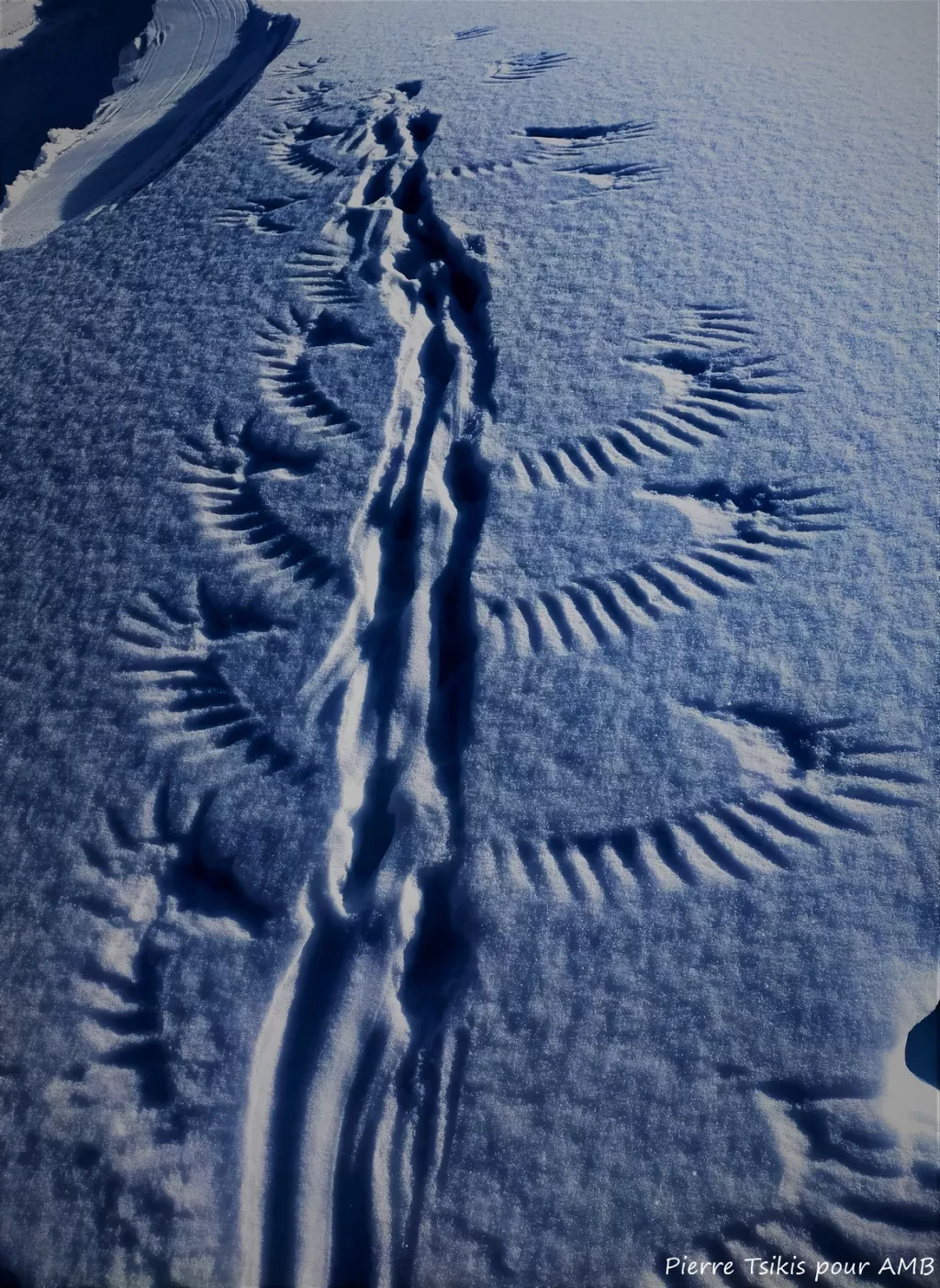 media-libraryg9sjt72hcn1i2fpYGmB