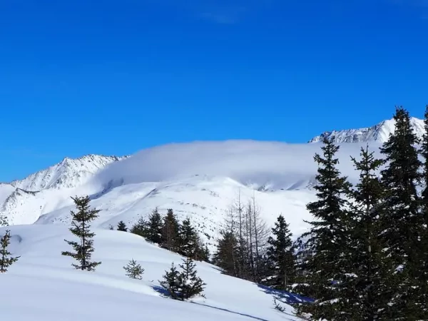 RAQUETTES AU PAYS DU MONT BLANC