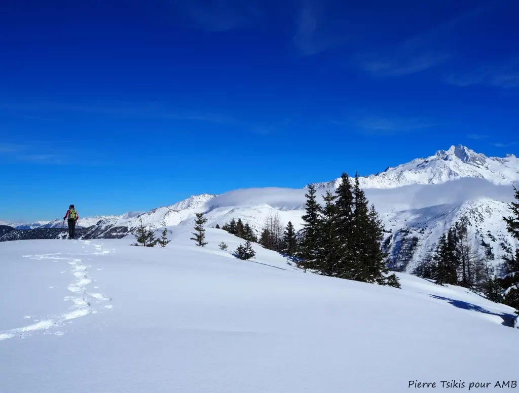 media-library2hkh210o0n9i0lpy5AB