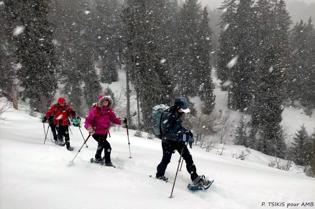 media-librarypf9b1mqejemp2n8b1Ty