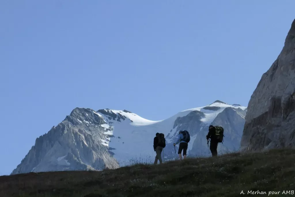 media-librarymhlohqjfsdq95thf8lC