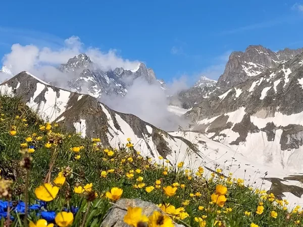 HAUTE ROUTE DU TOUR DU MONT BLANC