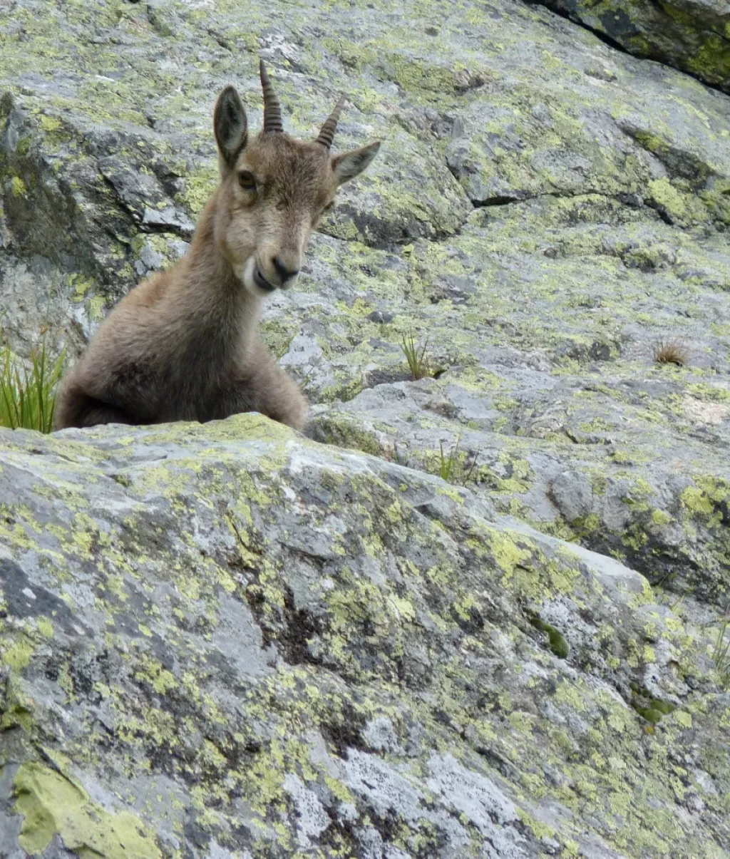 media-libraryao084mgvc2re1a7e28y