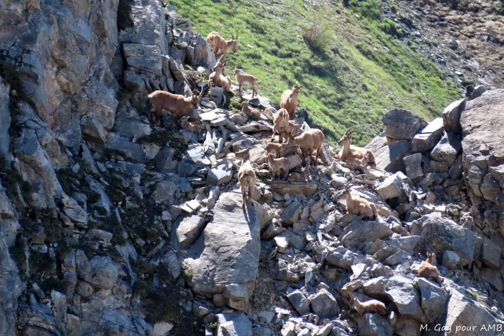 media-library8uc4jkph3ptrb6twVMC