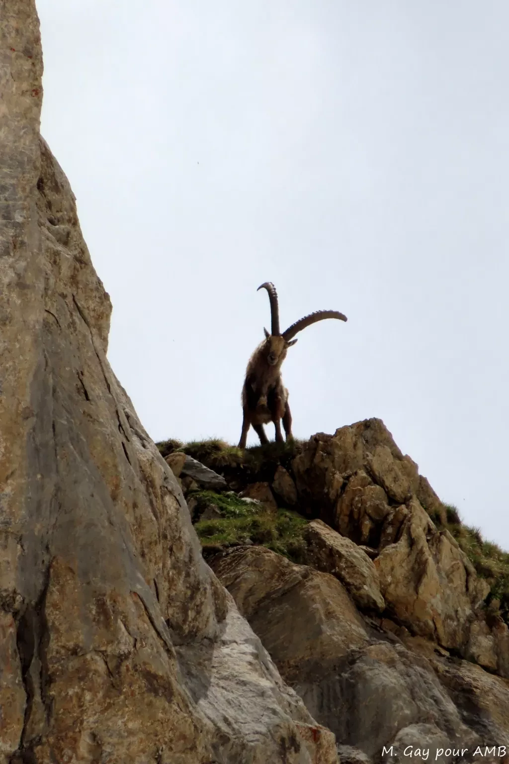 media-library6qthshd2056u8myUaRA