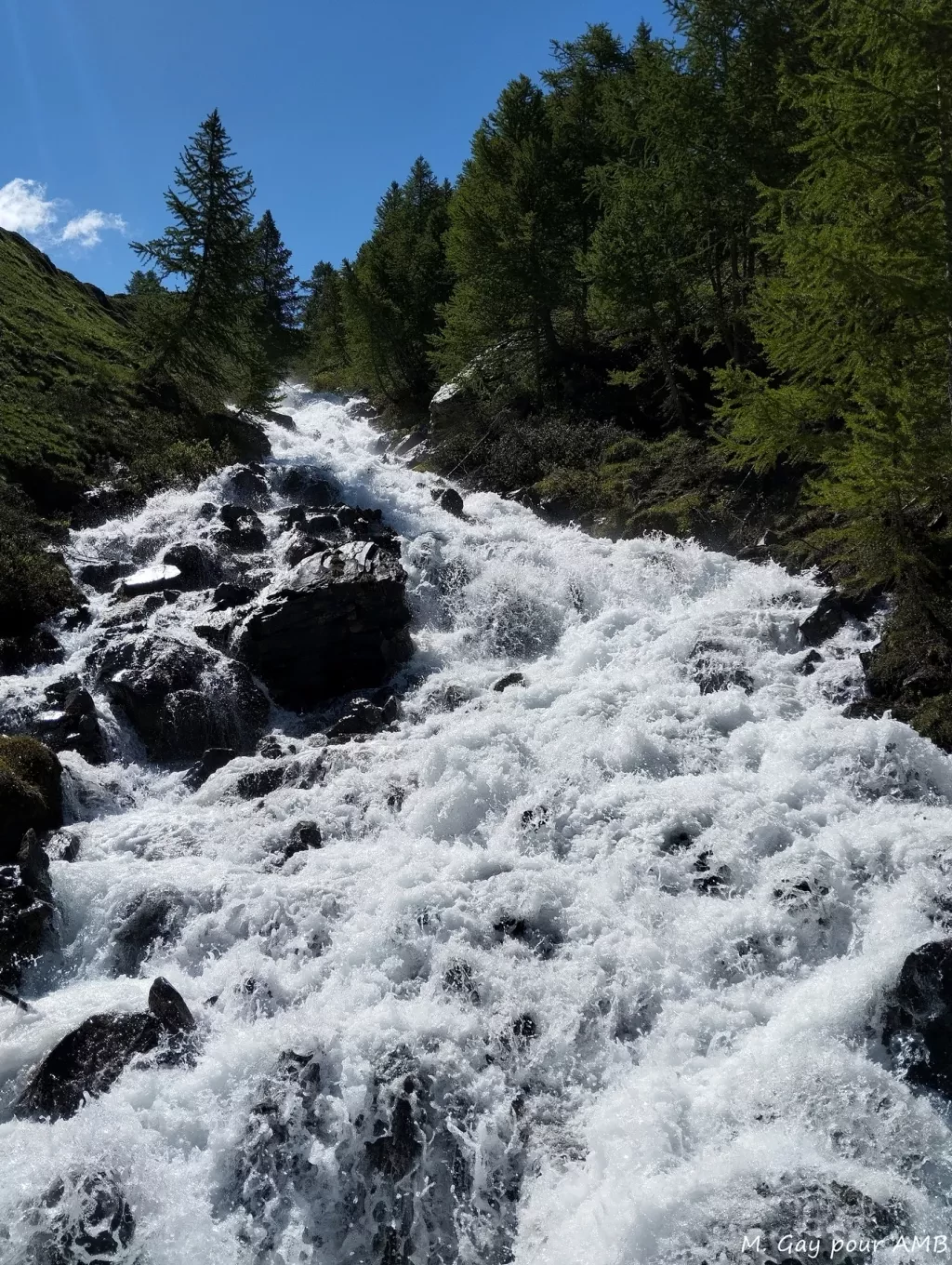 media-libraryom0ce5i5r97s44ozXKB