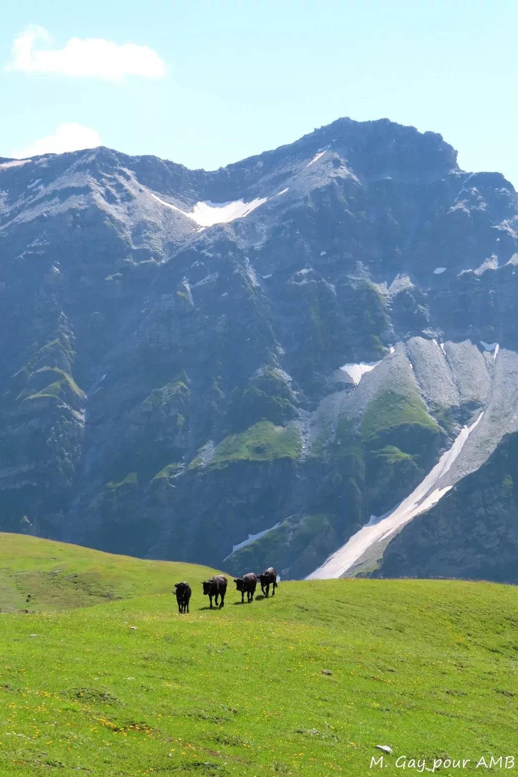 media-librarykqpqbe8mfb50a7Q7ZIB