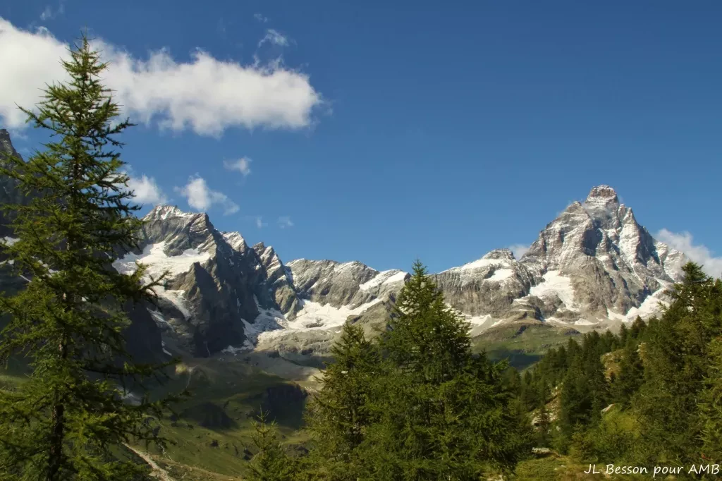 media-libraryjknrio7com3bdWYk6HB