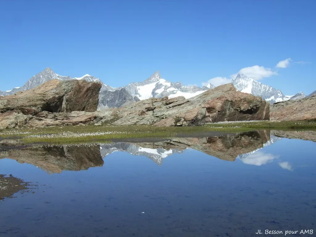 media-library2i9sobamqvai6zqlNyy