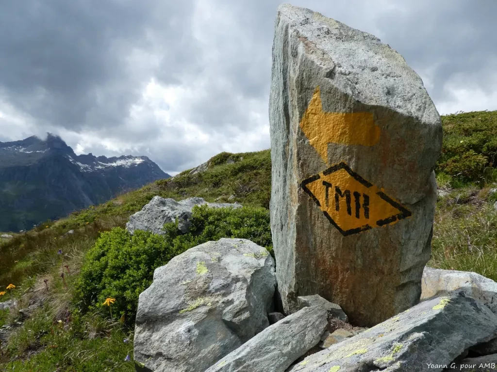 media-libraryk9s3l5o2qie0fEl2p9A