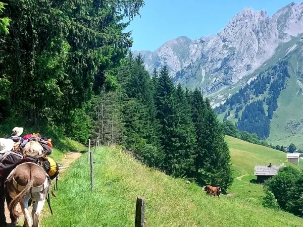 SMALL STEPS IN THE ARAVIS MASSIF