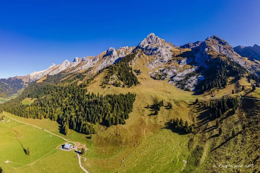 media-libraryr8b922i57m1i77lgfXB