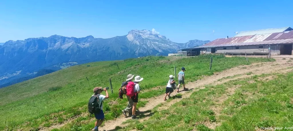 media-library8sl7qdpku8gpbaCkVmB