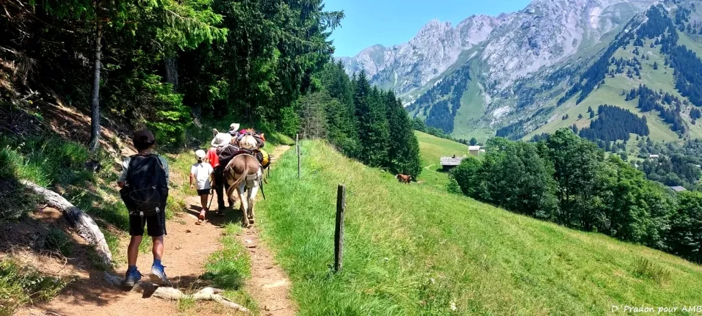 media-libraryedn8cdmb2p7n2wHDC6z