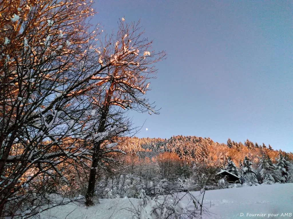 media-libraryjj73me92slf9bDWYuHy