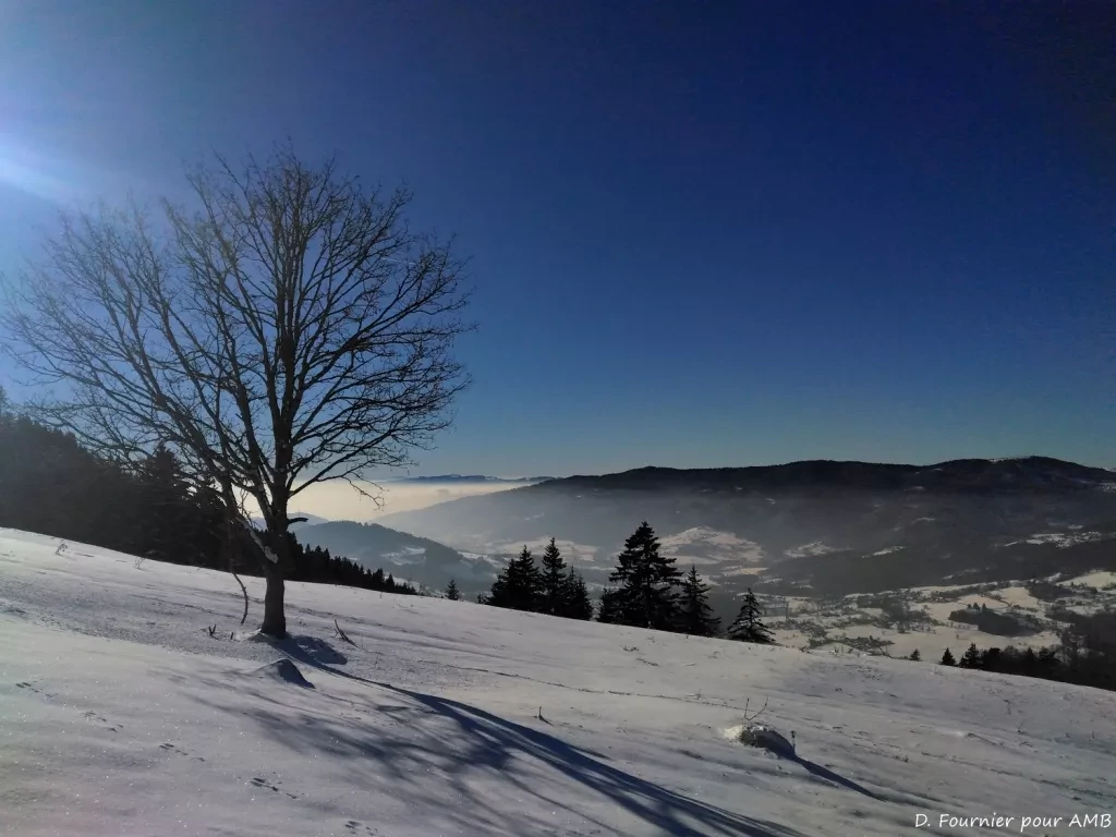 media-libraryvp3skmbvvnr60WYNW2A