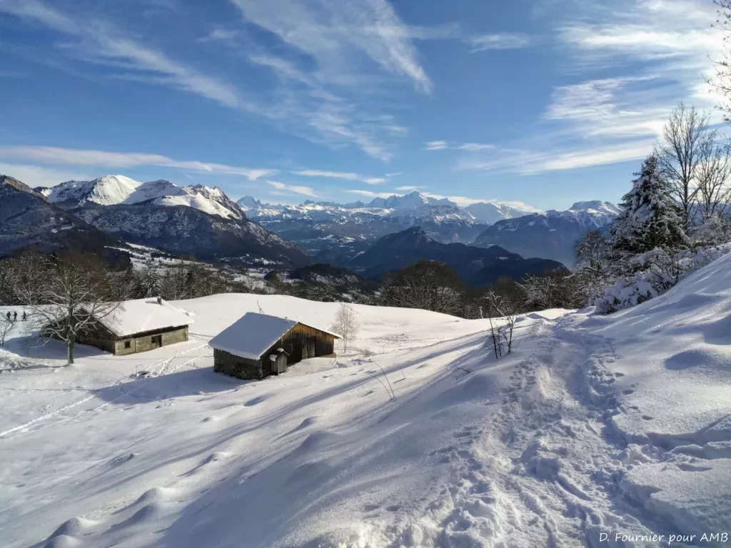 media-libraryhrlp30b0cmms8CmPPLA