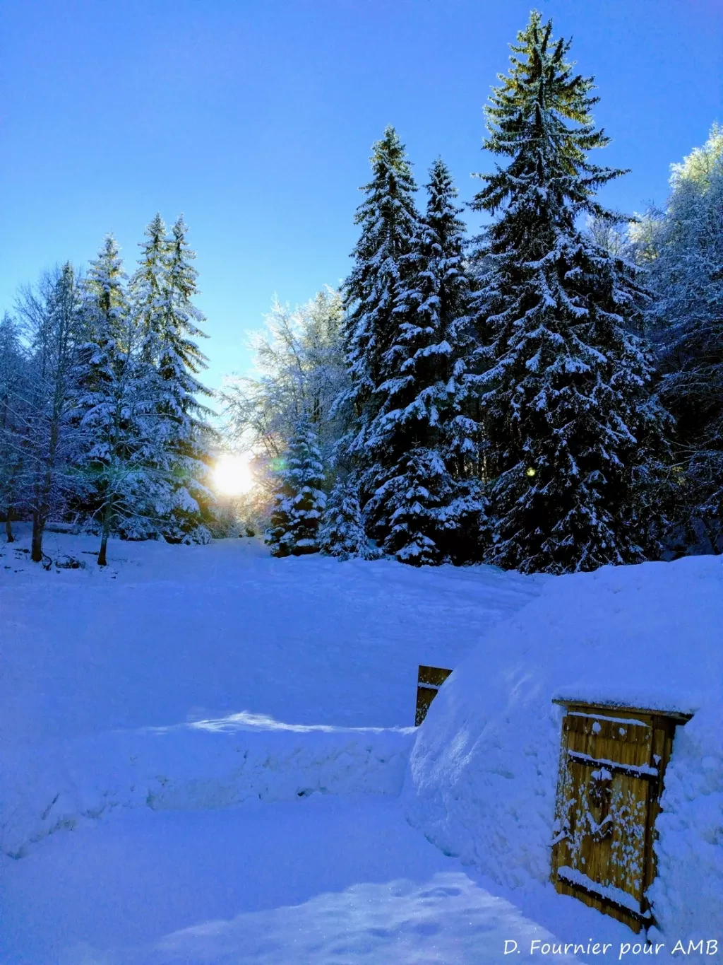 media-library46b95jcqnlfg988fbdC