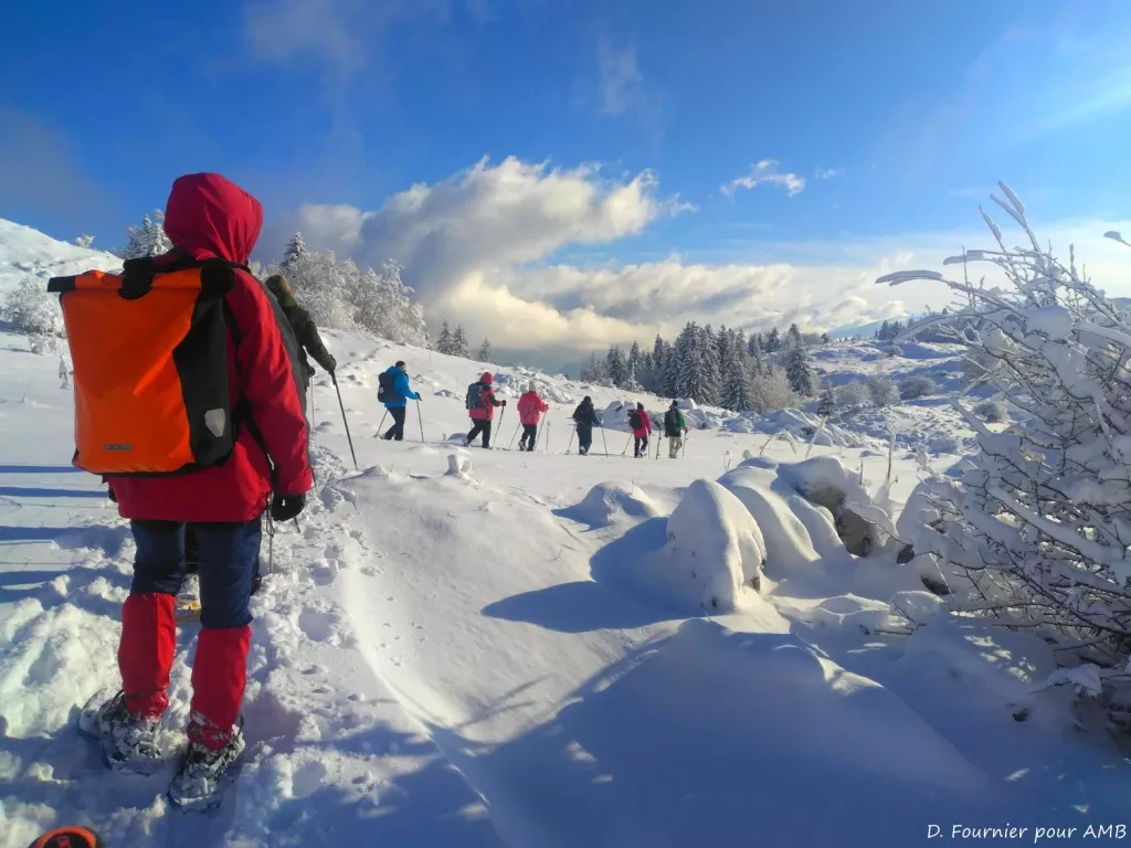 media-librarycj5uiuh1o1tm7SZd0hA