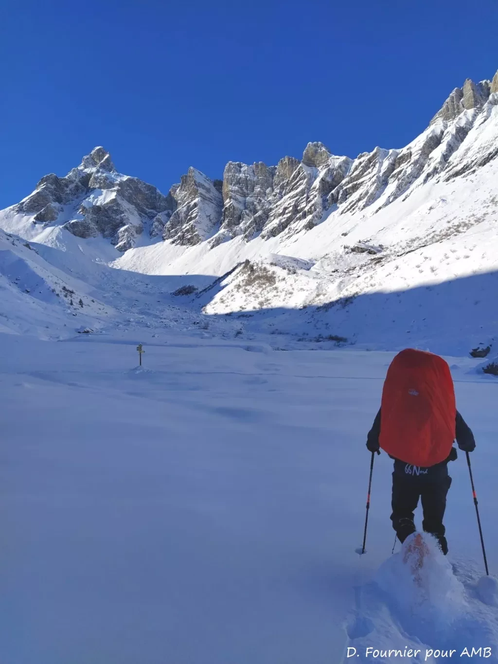 media-libraryfbbg2r6a49jnaRGkxWC