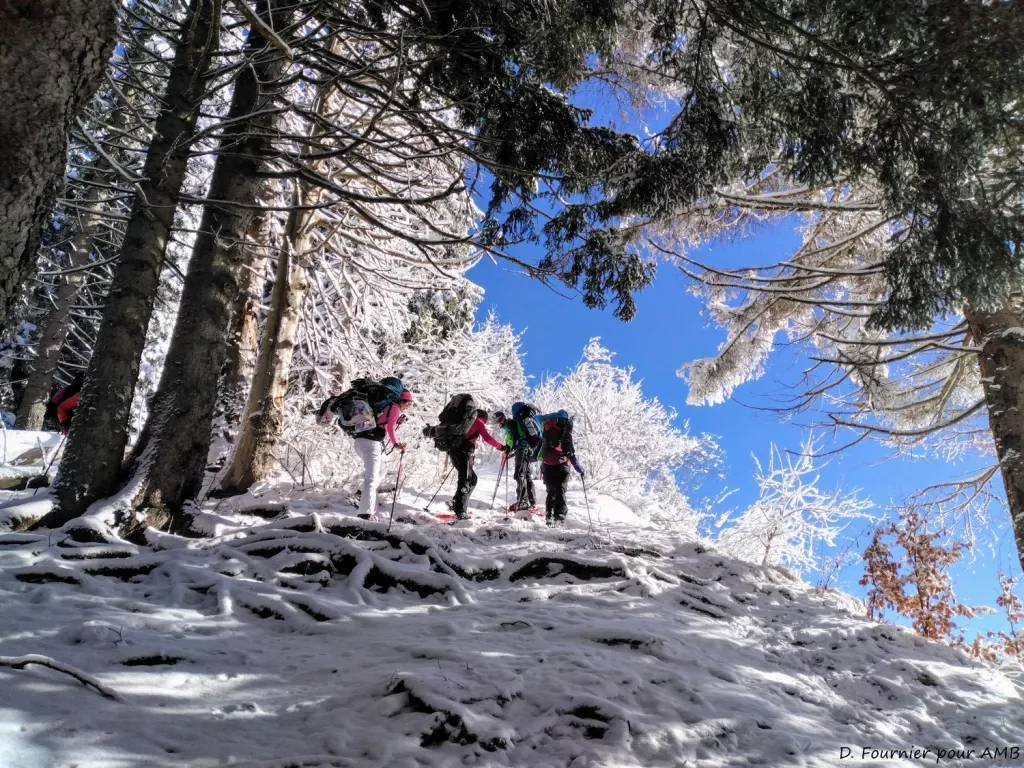 media-library5sh86g4dbqd8f2UuIjB