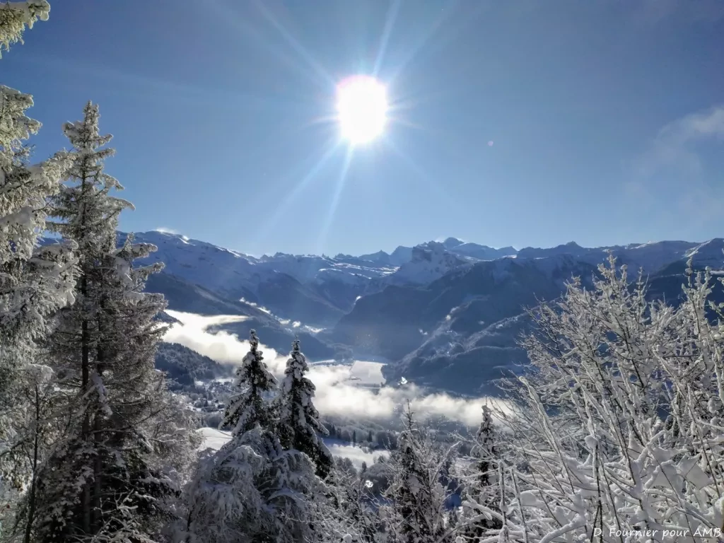 media-libraryhn2g12th634vfPYWtxB