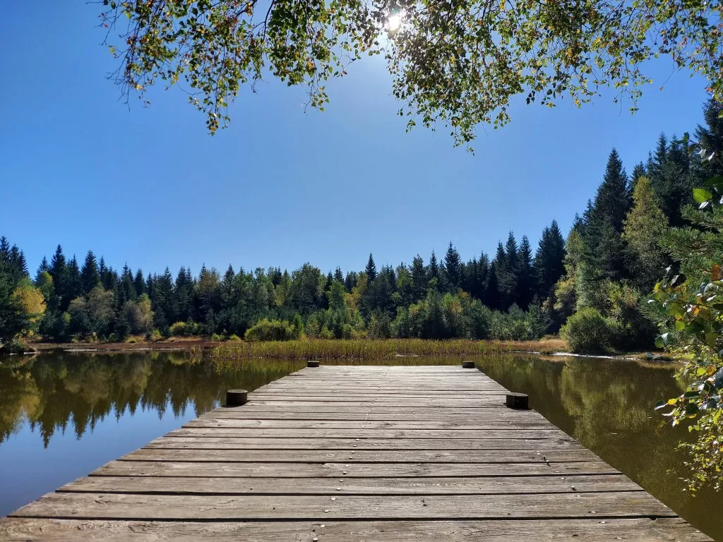 media-library87m37ls0to036RZkCET