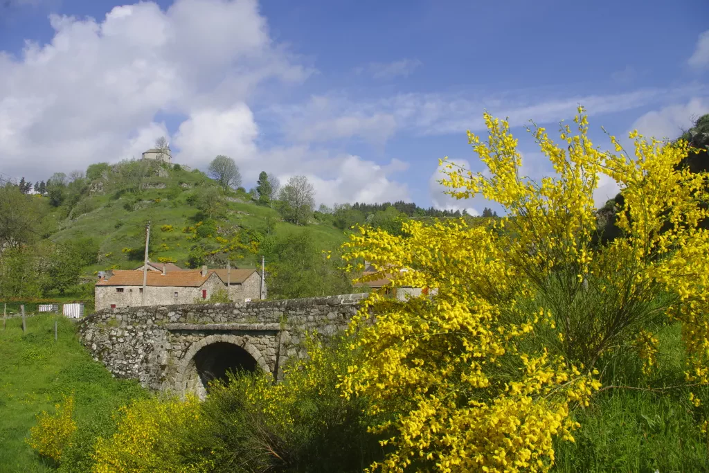 media-libraryi6opadsbp1rbdcfHARV