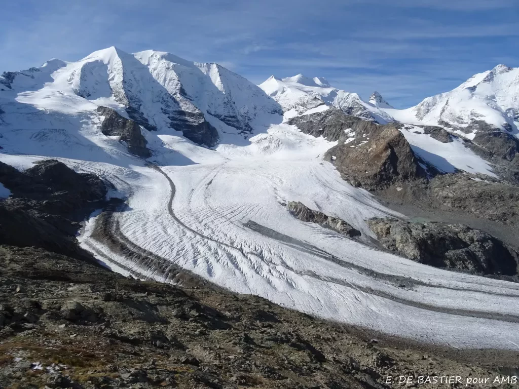 media-libraryul2pqkfs3roncQmISoV