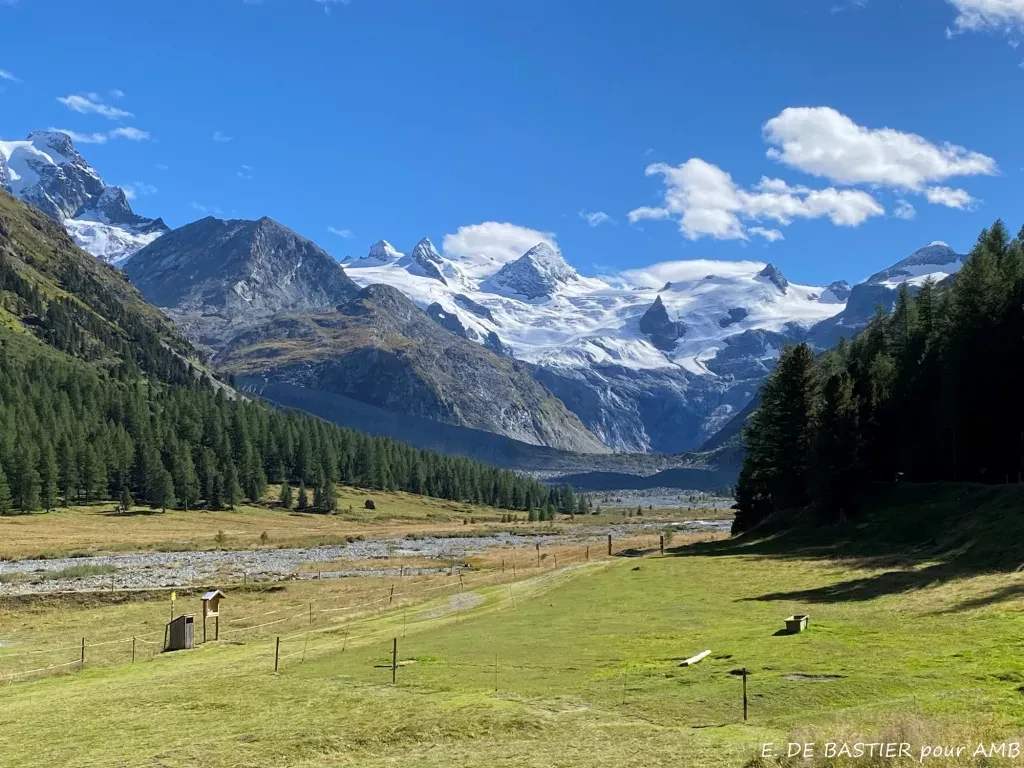 media-library40mupbhjtnck12jlnlU