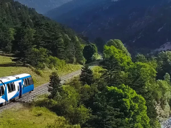 HIKING ALONG THE PINECONE TRAIN Self guided