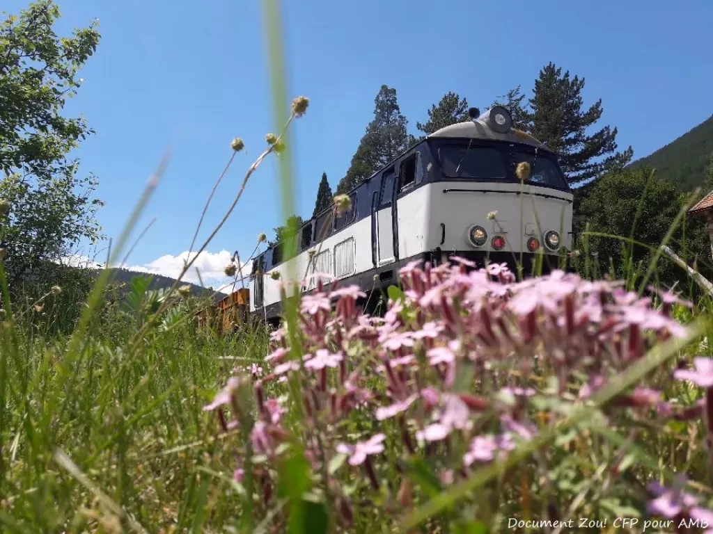 media-libraryo006cg5i5qjp37RBwNV