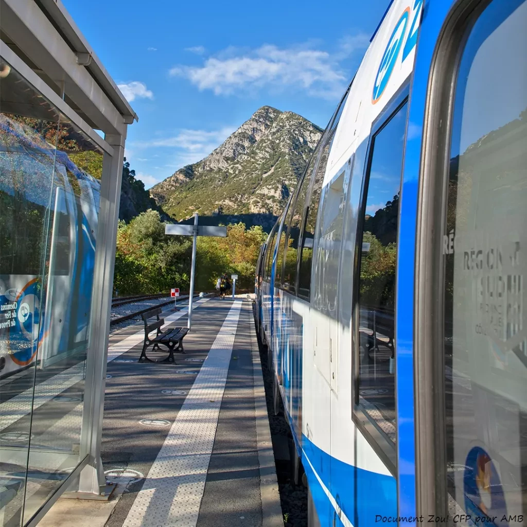 media-library7b7ldvlka51c1oVukER