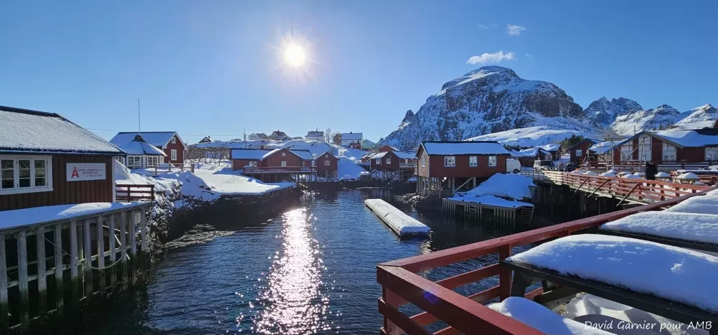 media-librarygu0n4195cth51D9yXuR