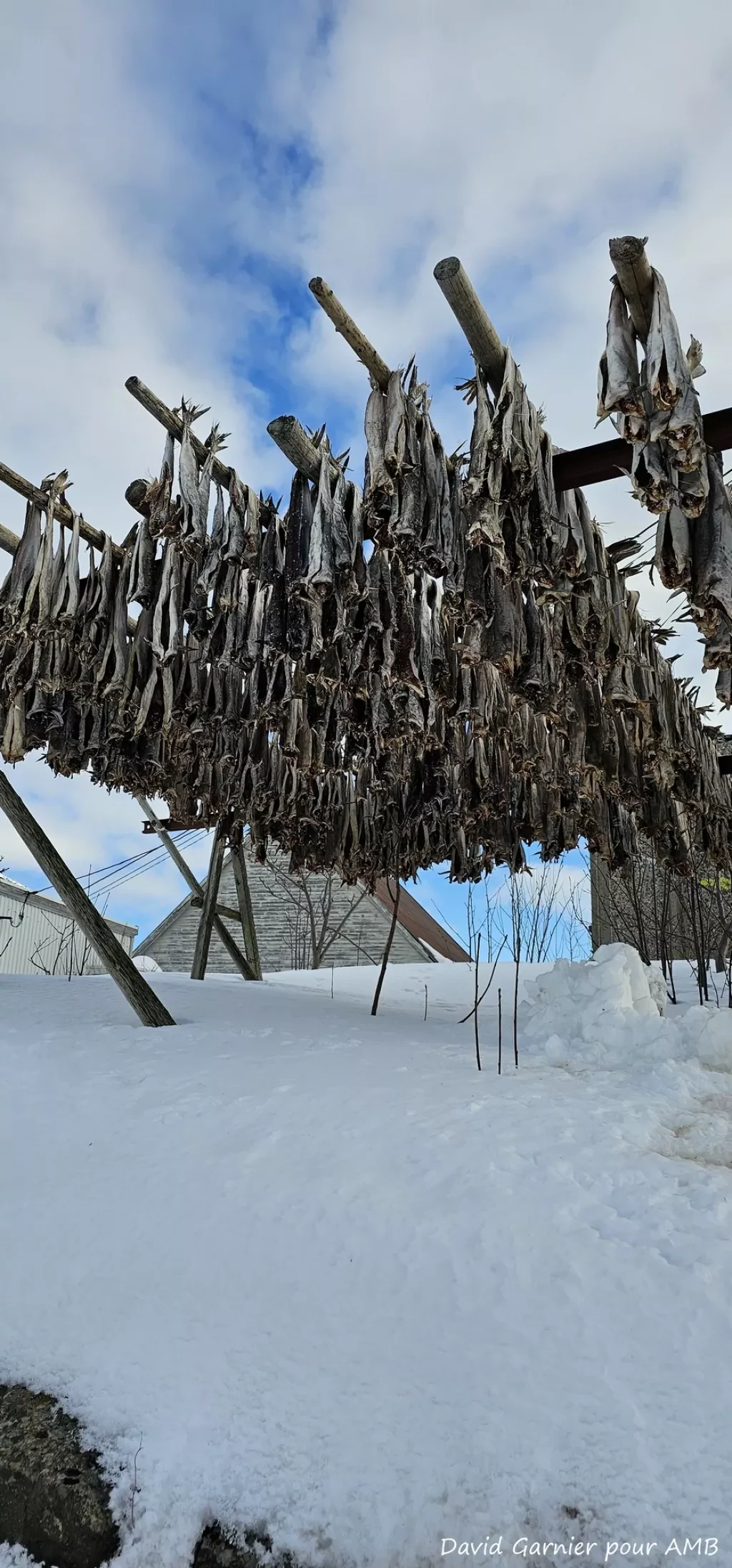 media-librarysosj03ljmlm86qrYrWU